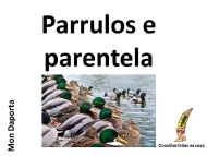 Parrulos e parentes (1)